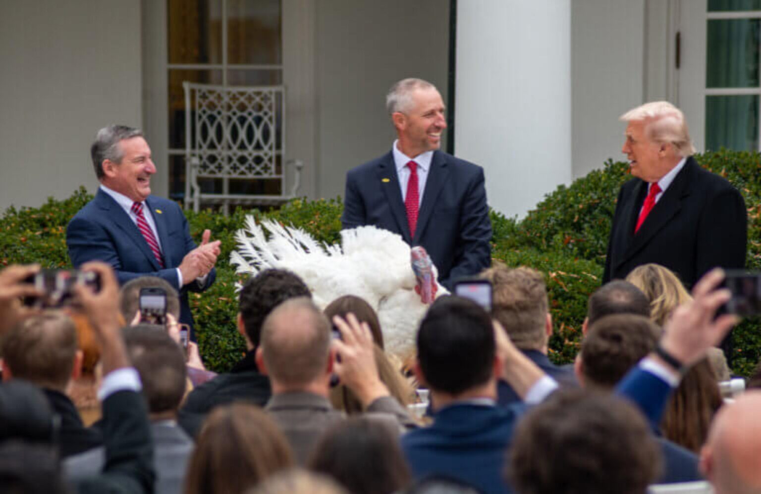 N.C. turkeys, Gobble and Waddle, pardoned by President Trump