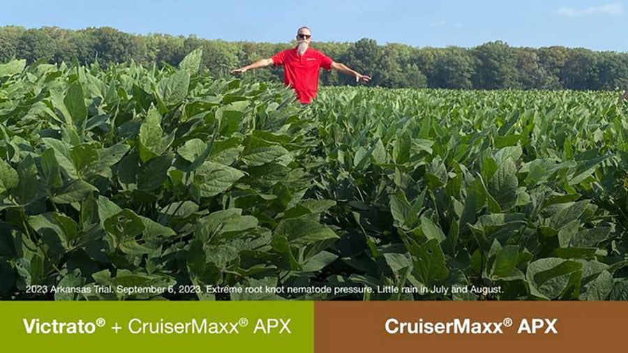 dale-ireland-victrato