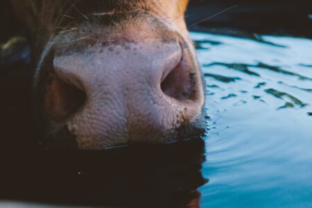 Proposed WOTUS Rule Seen as Relief for Farmers, Ranchers