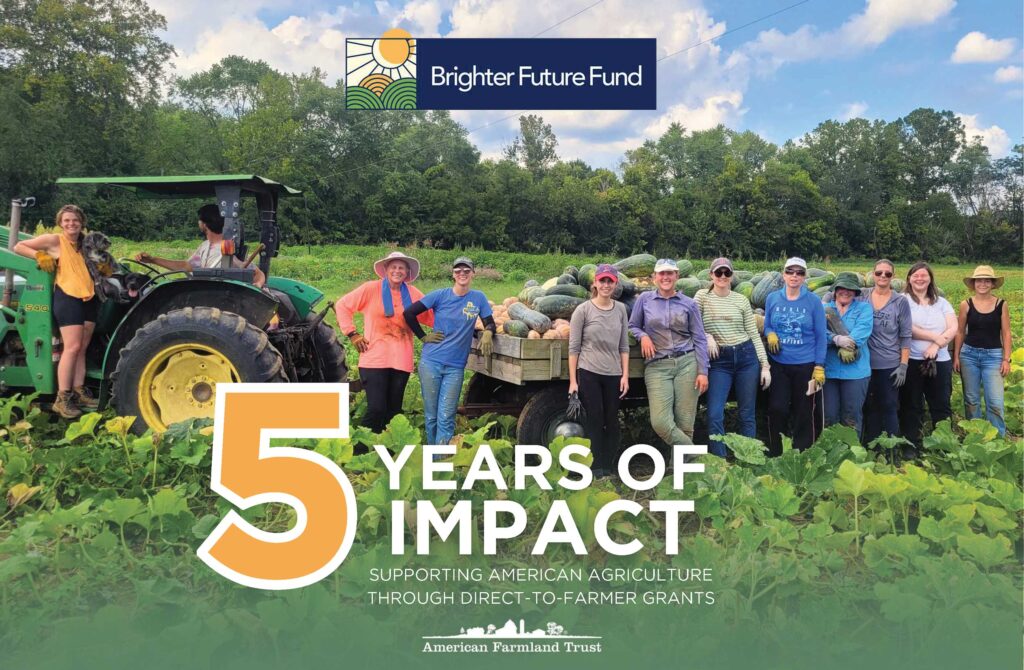 Brighter Future Fund: Five years of impact