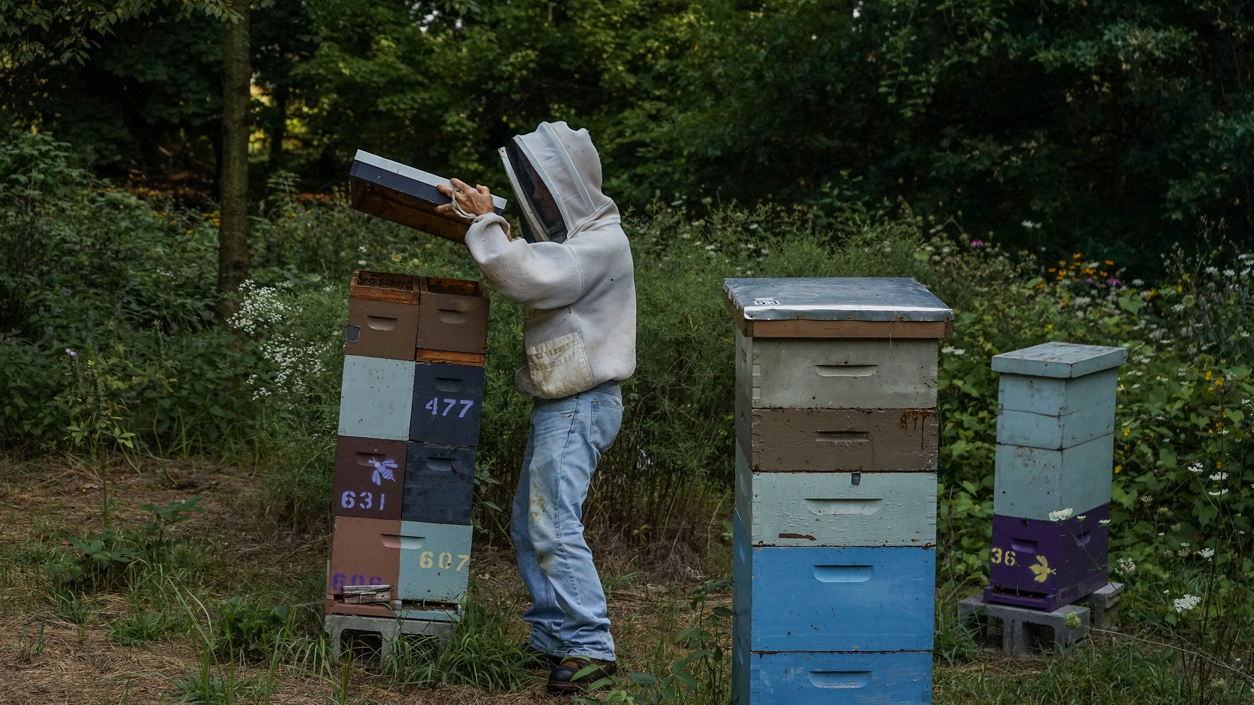 Ohio-beekeeper-Roger-Meyers