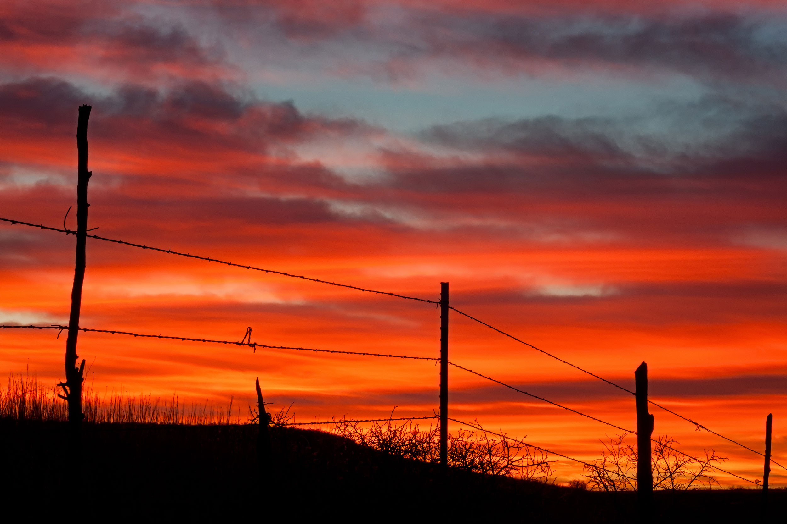 barbed-wire-fencing-texas-panhandle