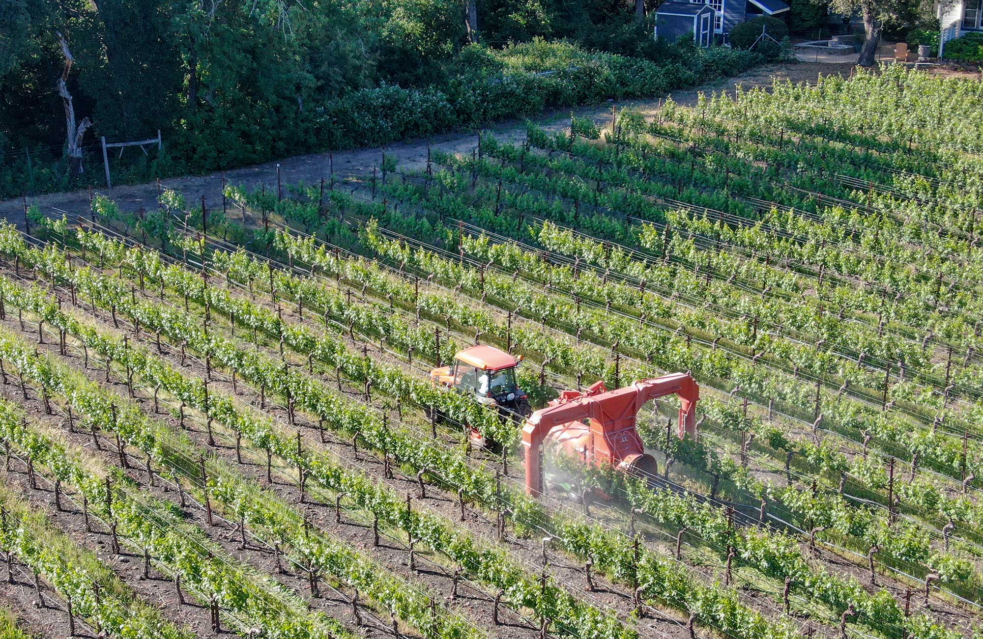 california-vineyard-crop-protection