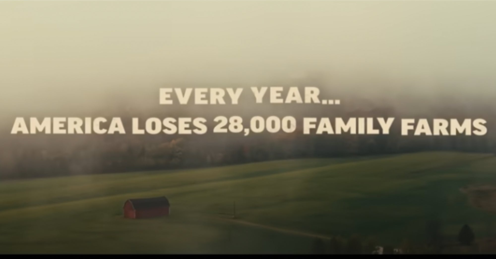 Green and Gold Movie