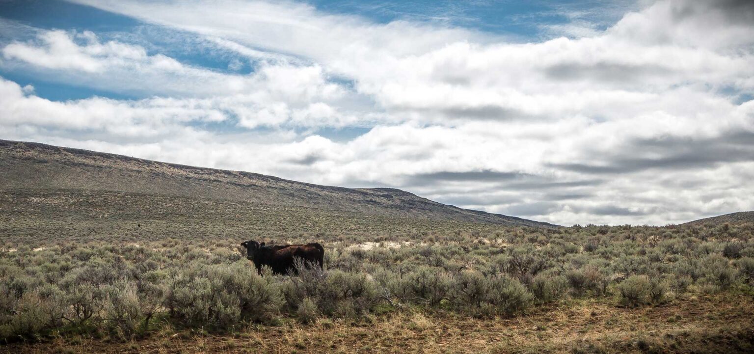 No, Veganism isn’t the Only Way to Eat Sustainably