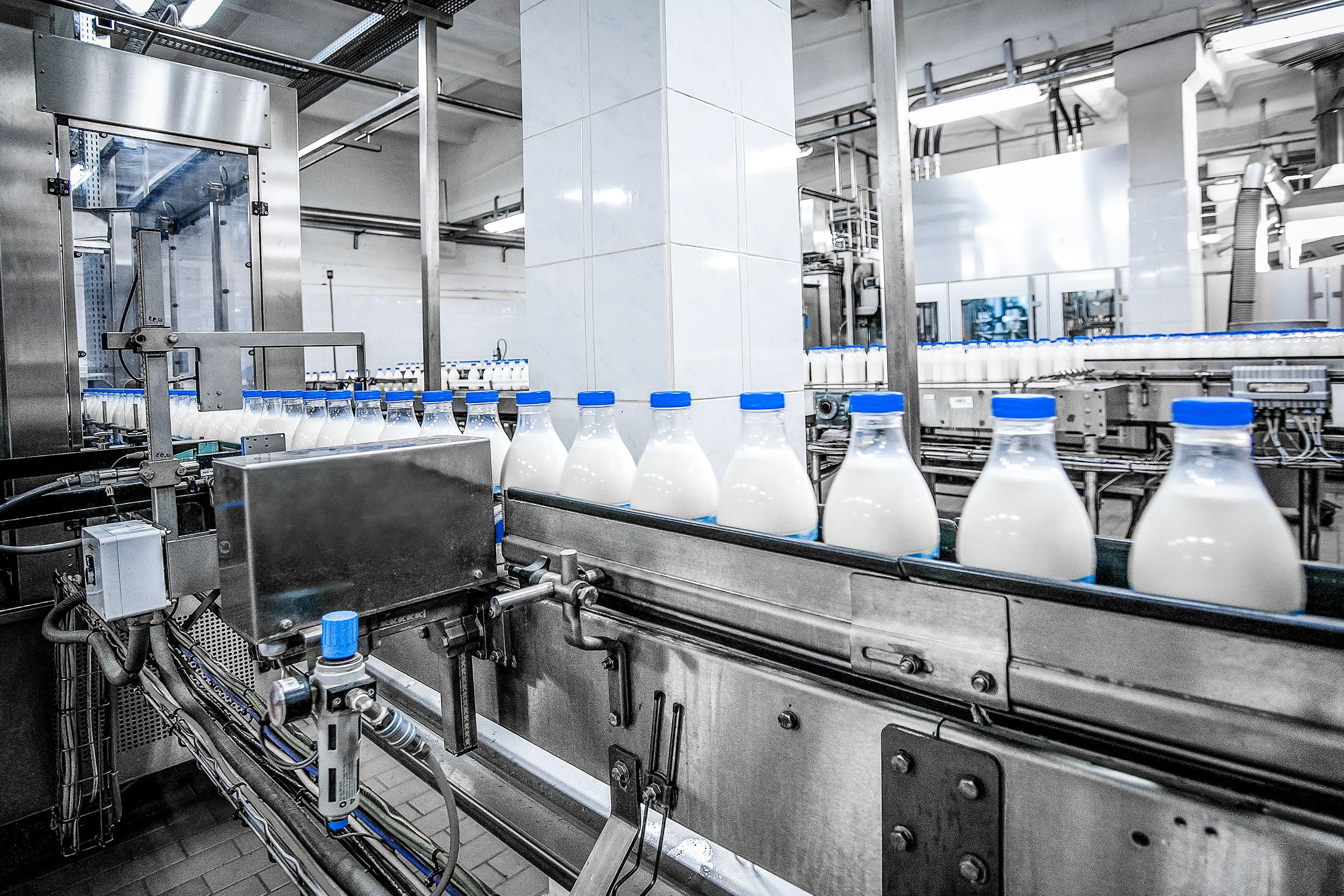 bottled-milk-line