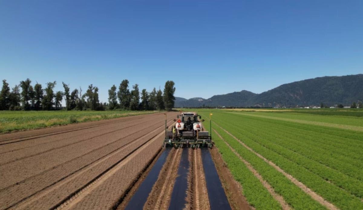 būmigro Mulch Film by būmi