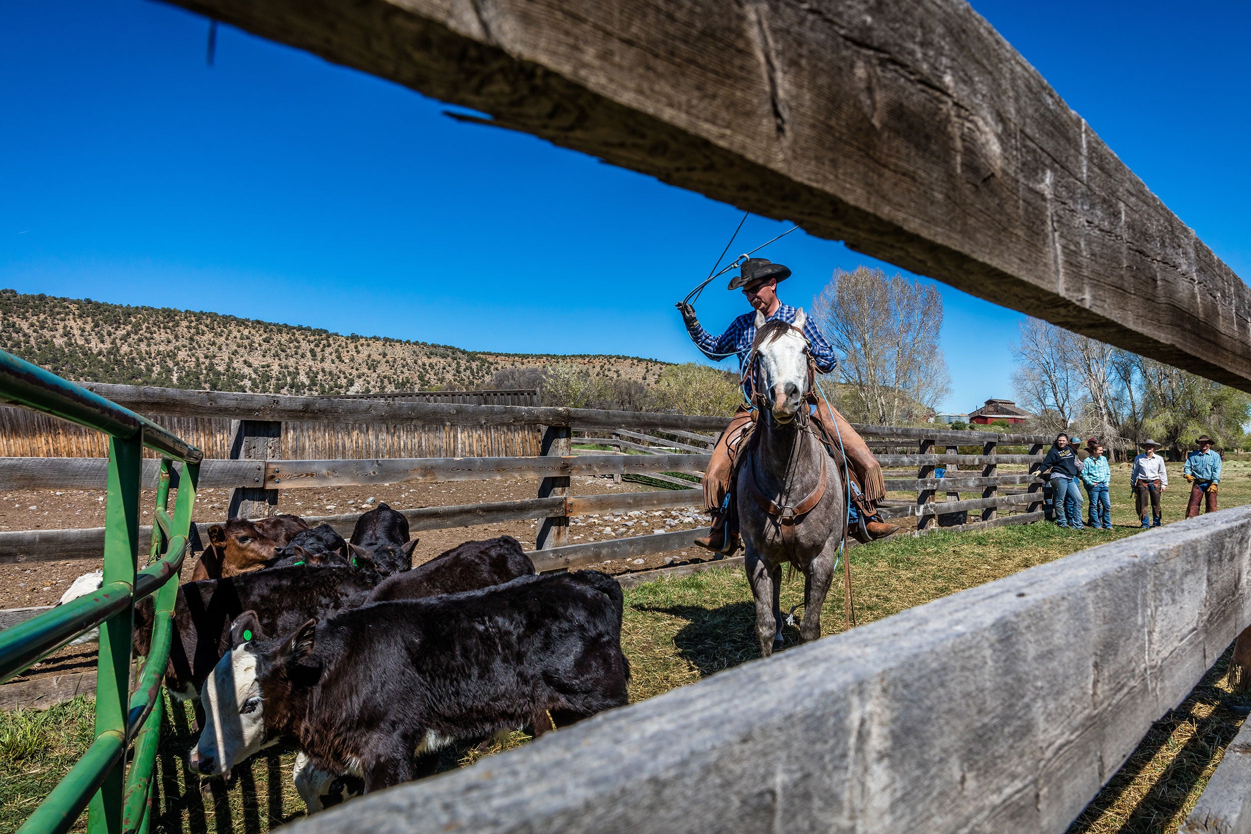 colorado-ranching-rural