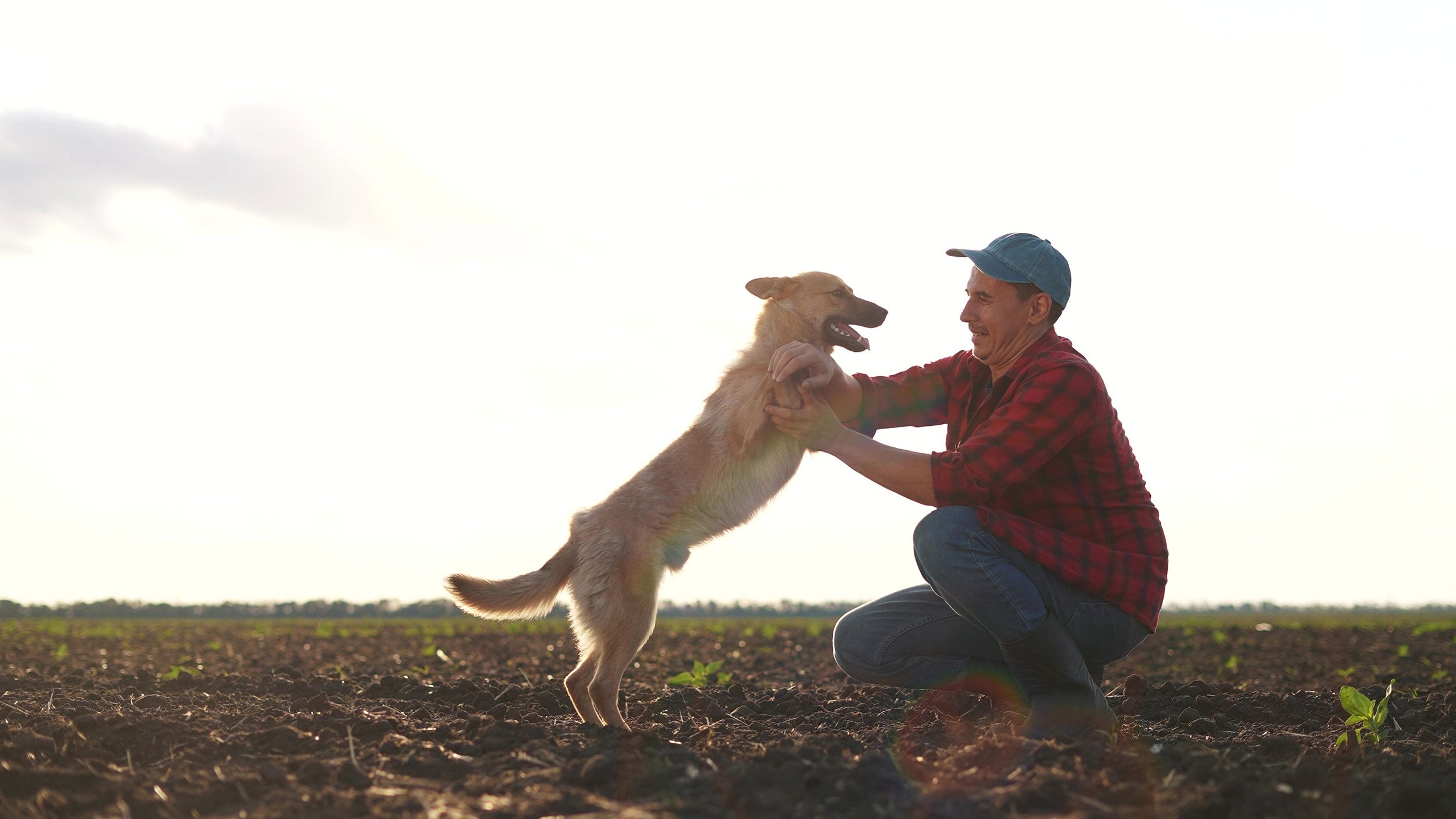 farmer-dog-happiness