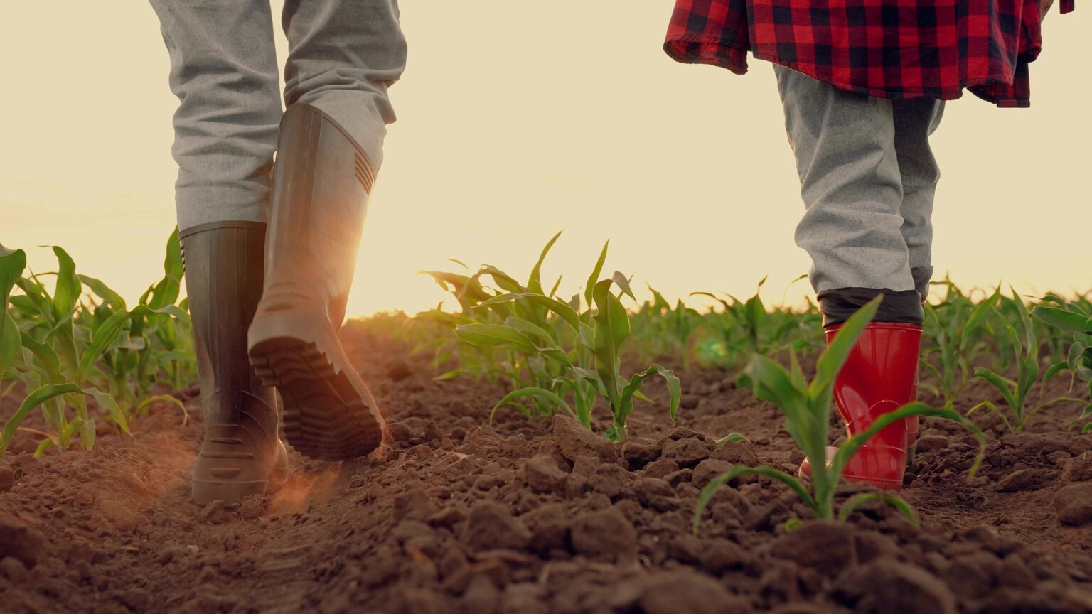‘Ask for help’ mental health and stress tips for farmers