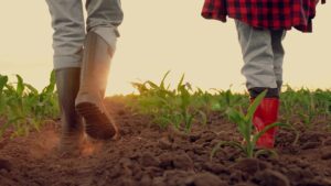 ‘Ask for help’ mental health and stress tips for farmers