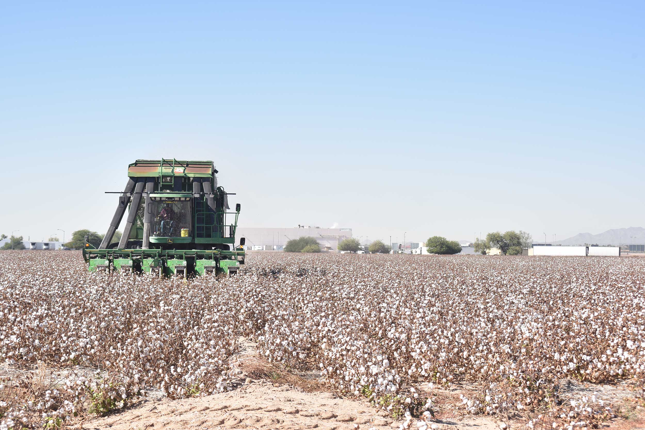 john-deere-cotton-harvester