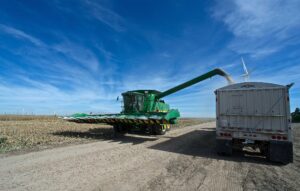 USDA Releases Row-Crop ‘Bridge’ Payment Rates USDA Releases Row-Crop ‘Bridge’ Payment Rates