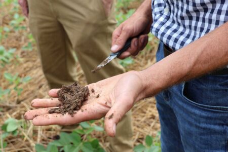 What Regenerative Agriculture Really Means