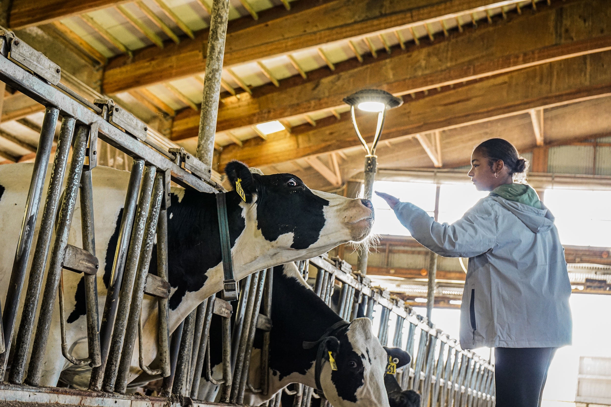 student-4h-member-new-york