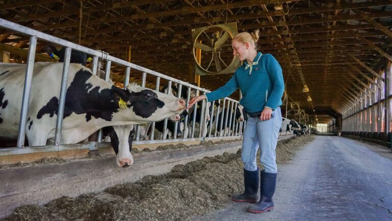 The Decision to Come Home to New York and Embrace the Dairy