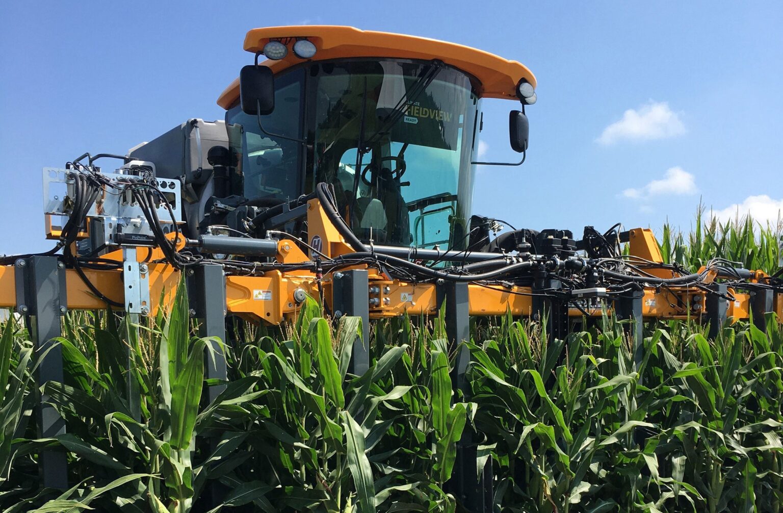 Study Finds Climate Benefits in Bayer’s Short-Stature Corn