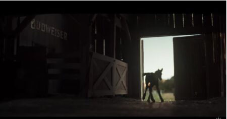 Clydesdale Foal Debuts in Budweiser’s Super Bowl LX Teasers Clydesdale Foal Debuts in Budweiser’s Super Bowl LX Teasers