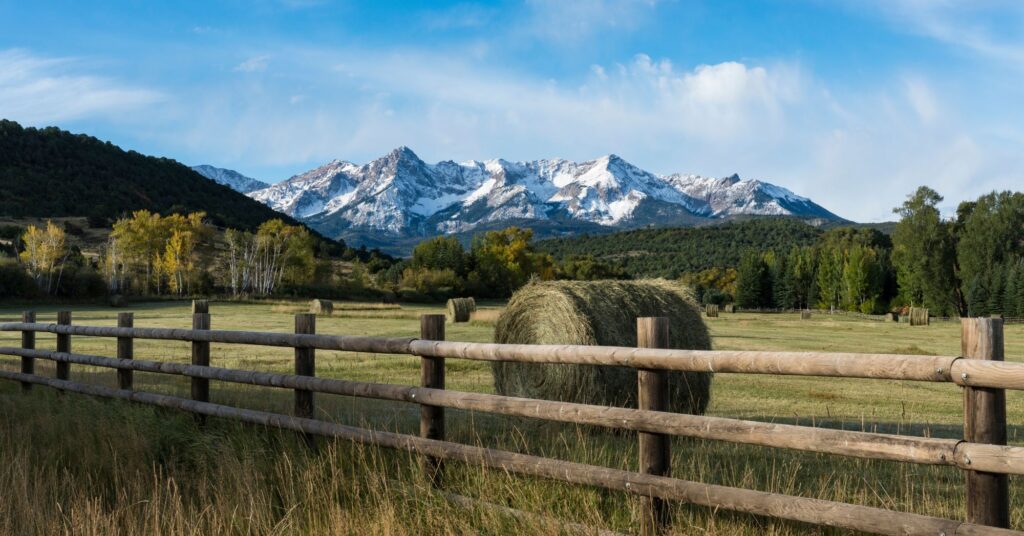 Colorado Agriculture at a Crossroads as Farm Loss Accelerates