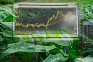 Mark Gold’s Weekly Grain Comments for Jan. 20, 2026