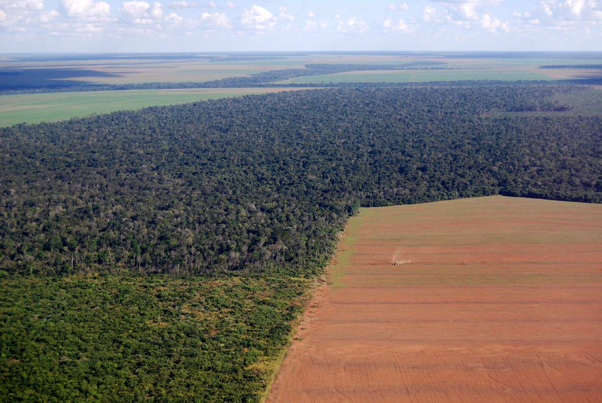 deforestation-brazil-soy-field