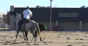 ‘Boys from Oklahoma throw their ropes all wrong’: The OKC calf chase