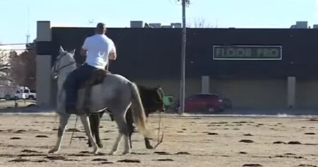 ‘Boys from Oklahoma throw their ropes all wrong’: The OKC calf chase