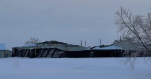 Winter Storms Crush Ag Country as Losses Likely to Top 0B Winter Storms Crush Ag Country as Losses Likely to Top 0B