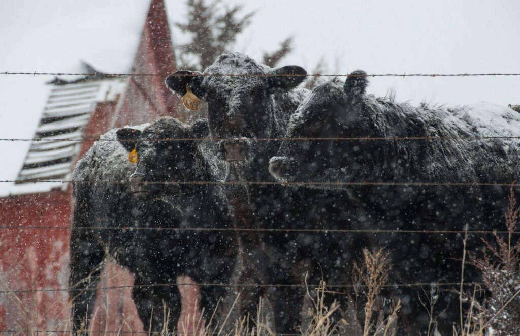 Punishing Snow/ice Storm Steers Toward Belly of Rural America