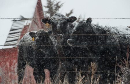Punishing Snow/ice Storm Steers Toward Belly of Rural America