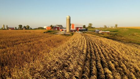 Farmer Sentiment Slips in December with Trade Uncertainty