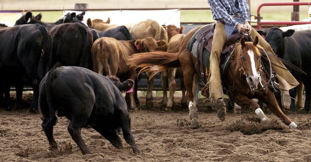 USDA Delays Horse Protection Amendments Almost a Year