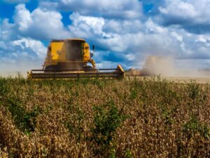Major Agreement to Protect the Amazon is Falling Apart After 20 Years Major Agreement to Protect the Amazon is Falling Apart After 20 Years