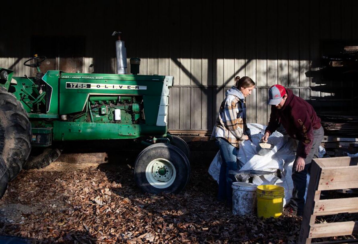 Ben_De_Boef-Young_Farmers-feed