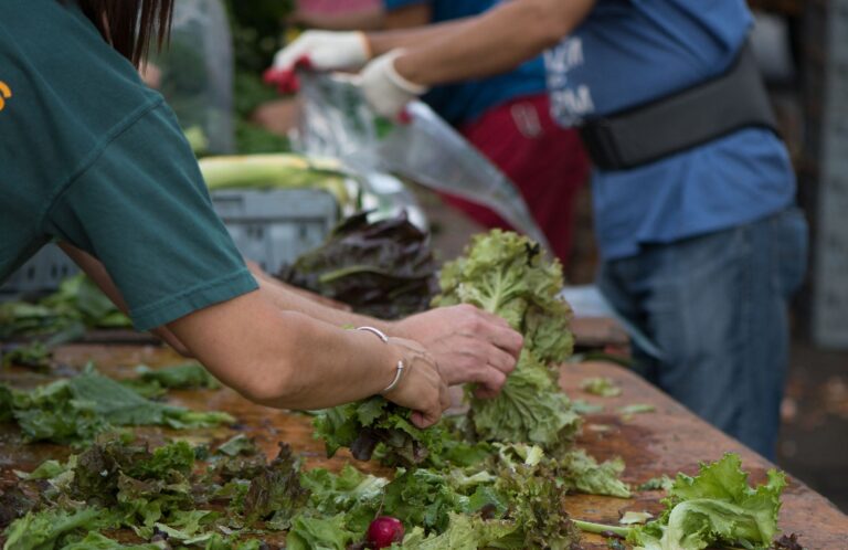 USDA Announces 3M in Food Purchases to Support U.S. Farmers USDA Announces 3M in Food Purchases to Support U.S. Farmers