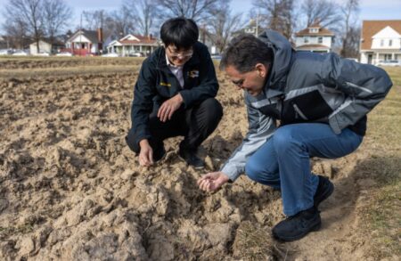 Mizzou Researchers Uncover How Plants Regulate Root Growth Mizzou Researchers Uncover How Plants Regulate Root Growth