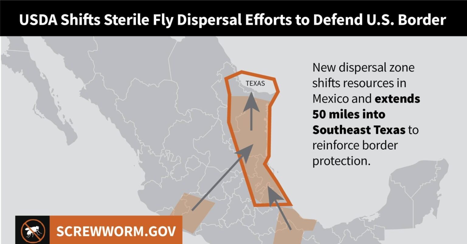 USDA ramps up border defense against New World screwworm