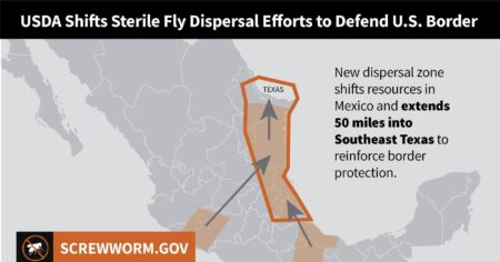 USDA ramps up border defense against New World screwworm USDA ramps up border defense against New World screwworm
