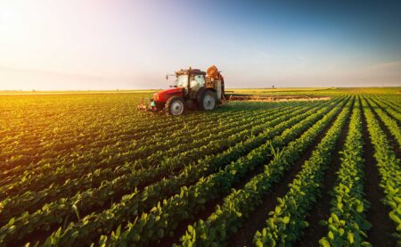 Dicamba Returns with New Limits as EPA Reapproves OTT Use
