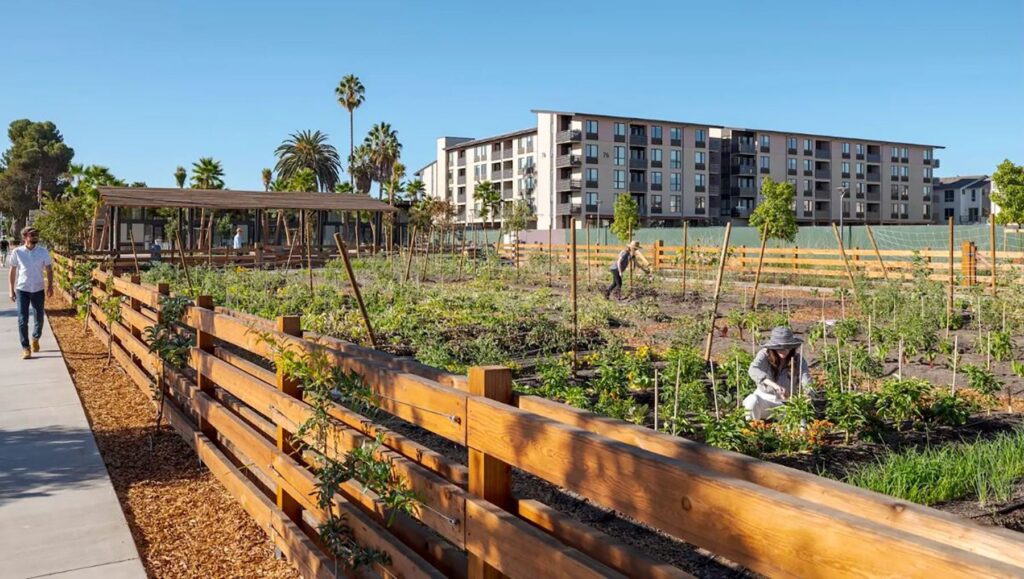 What Happens When a Neighborhood is Built Around a Farm?