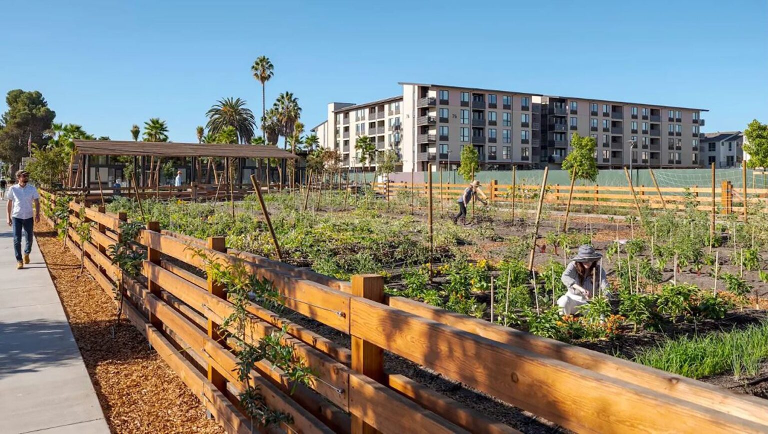 What Happens When a Neighborhood is Built Around a Farm?